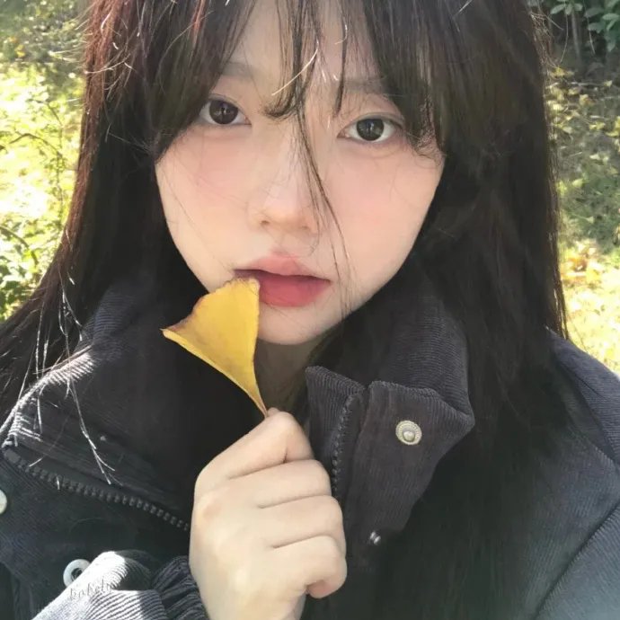 极品老妈第八季 海报