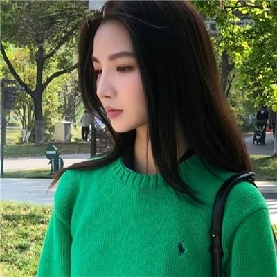 北极移民 海报